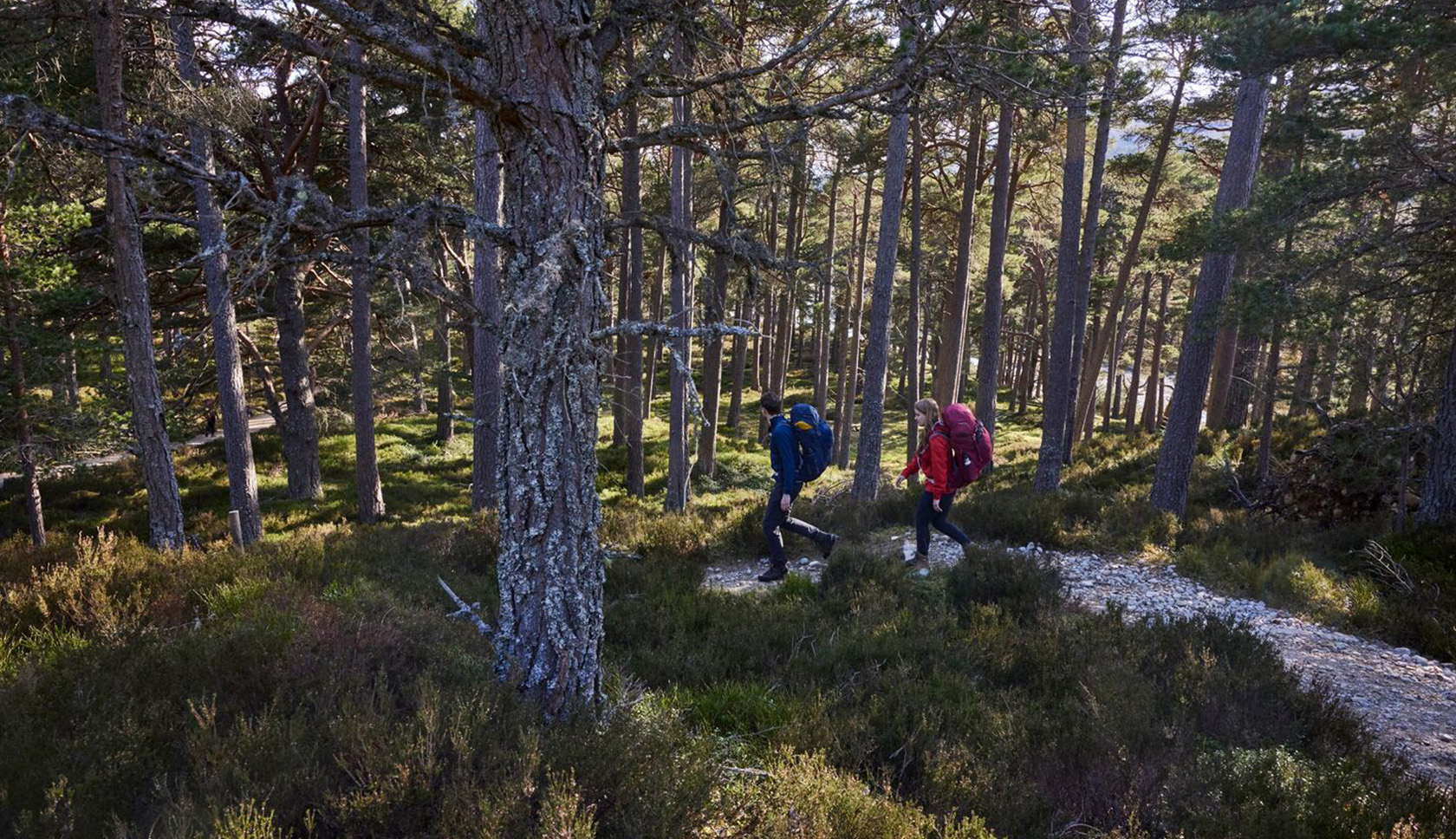 Man en vrouw wandelen door bos