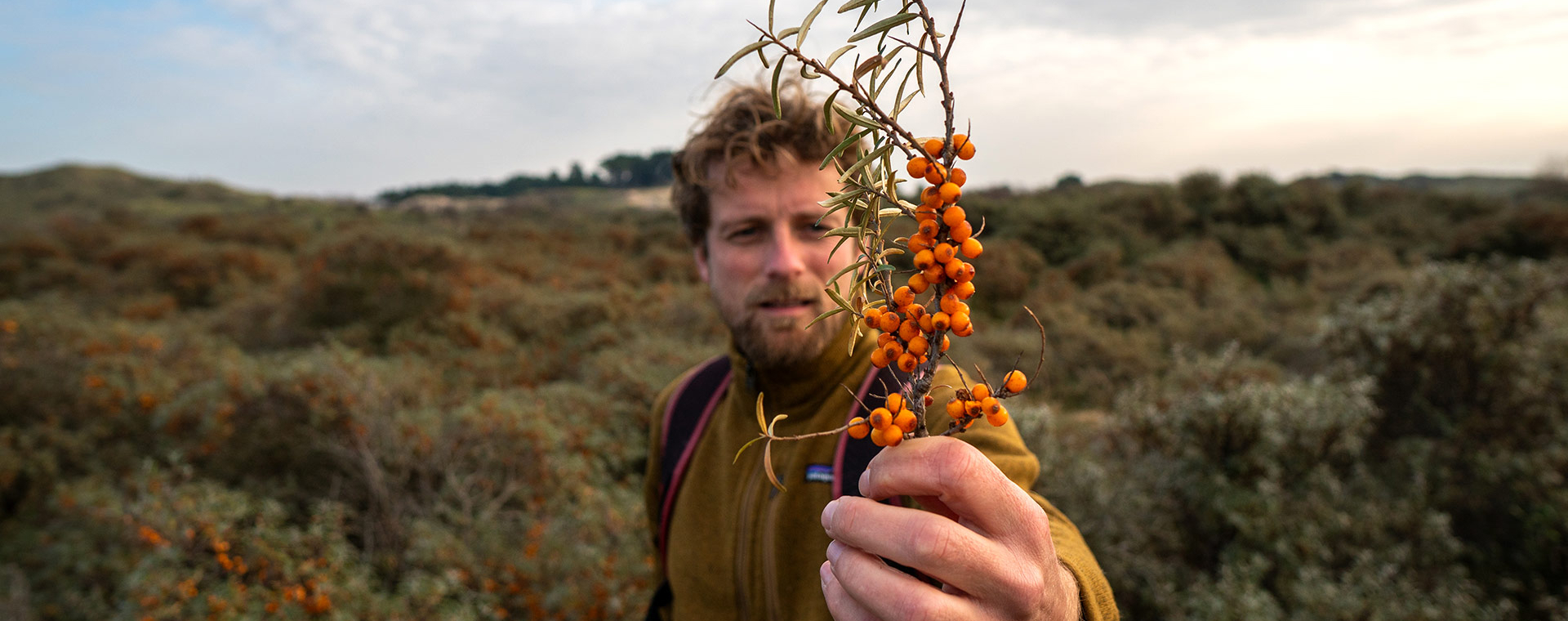 Wildplukken in de herfst in Nederland