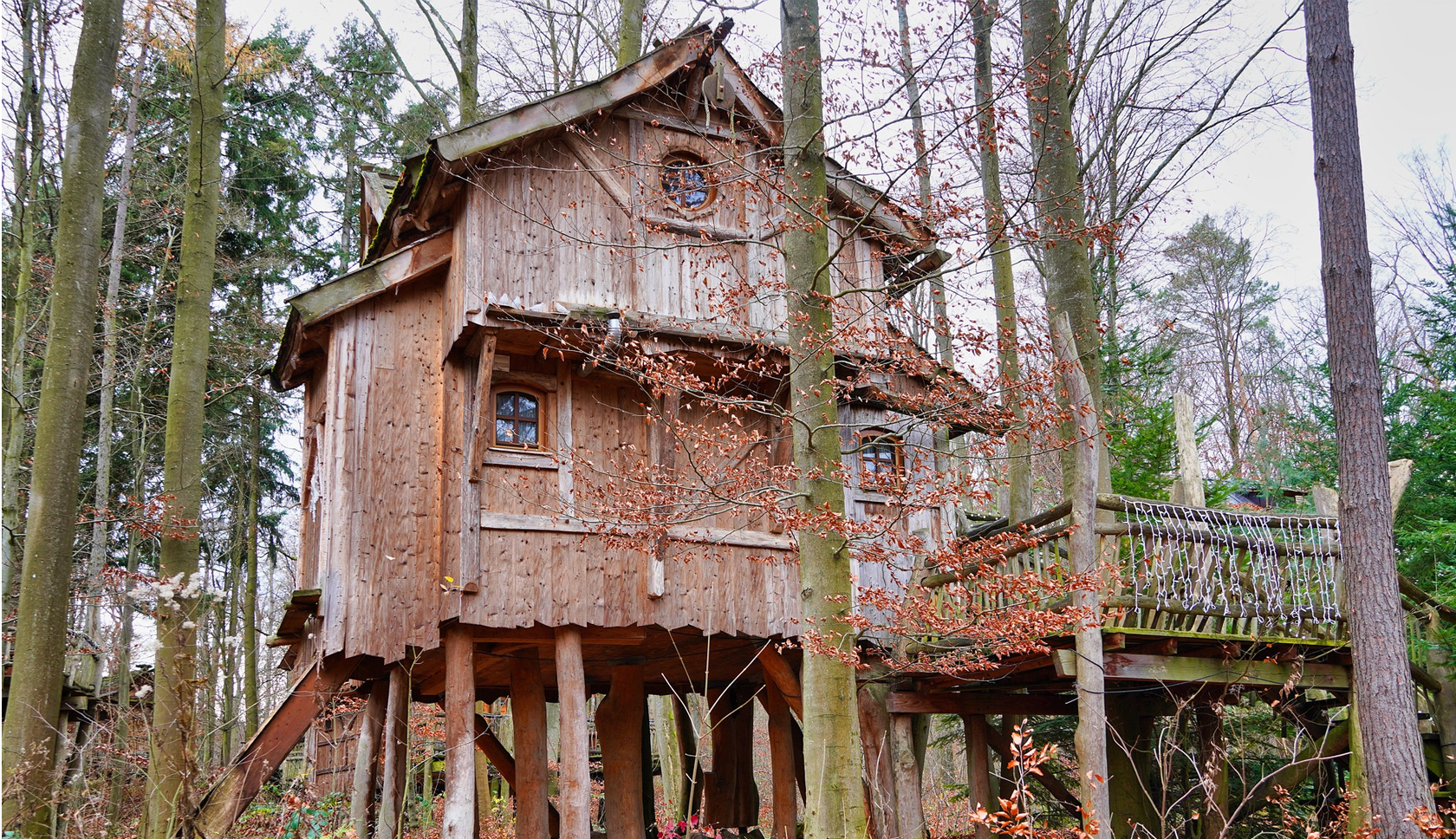 boomhut boshuisje nederland