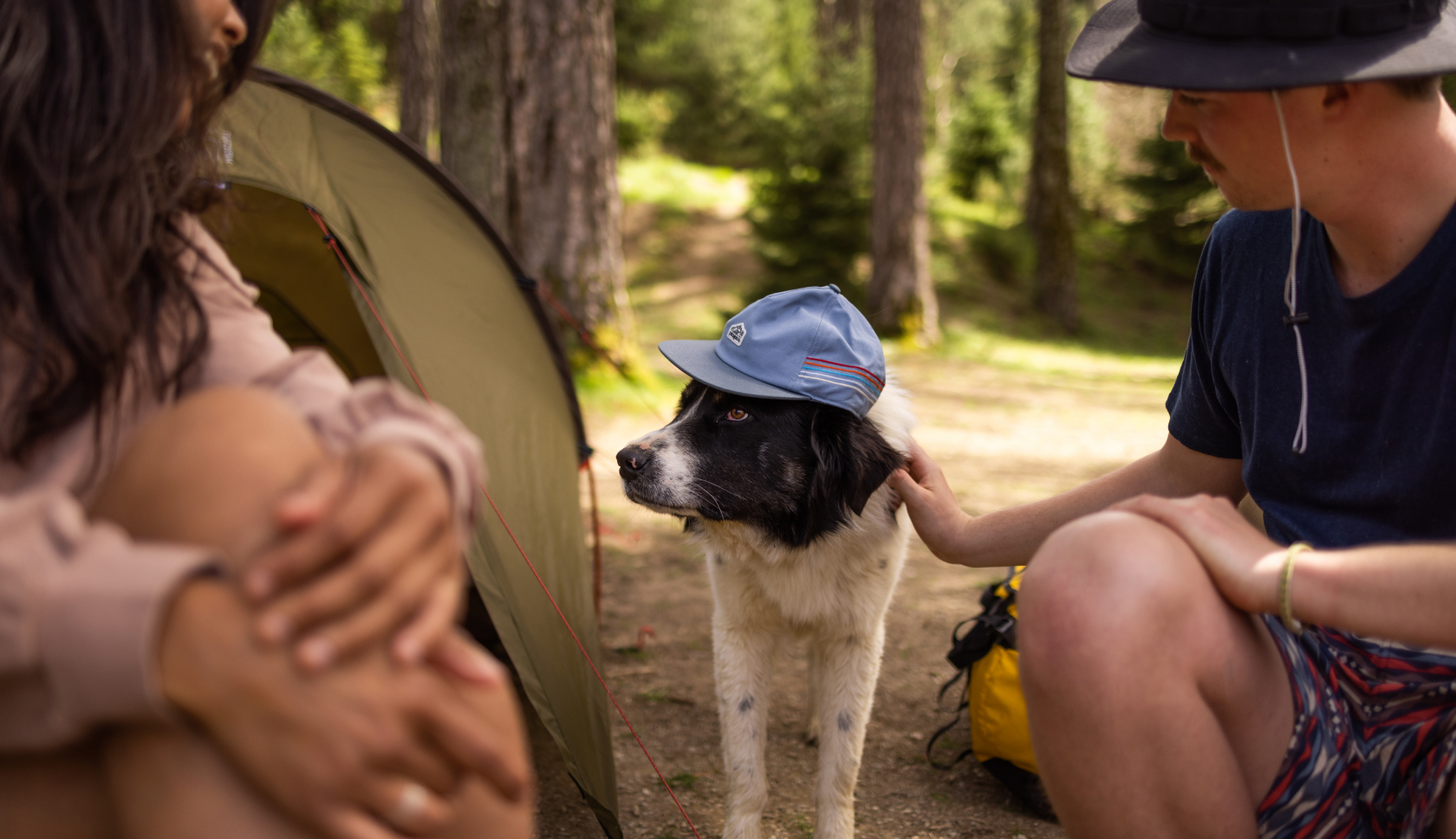 man en vrouw op kampeerstoeltjes aaien hond  met hoed op