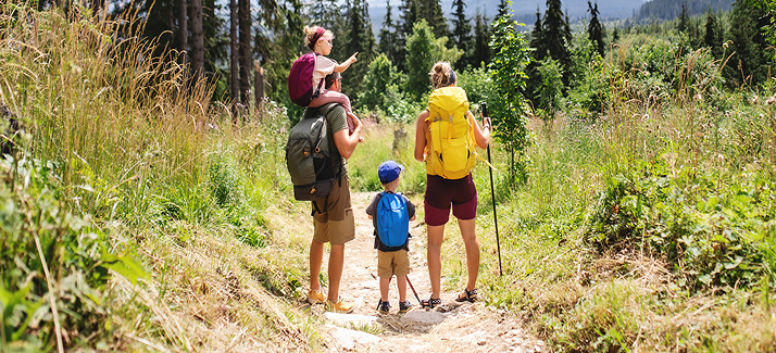 gezin met kinderen maakt een wandeling