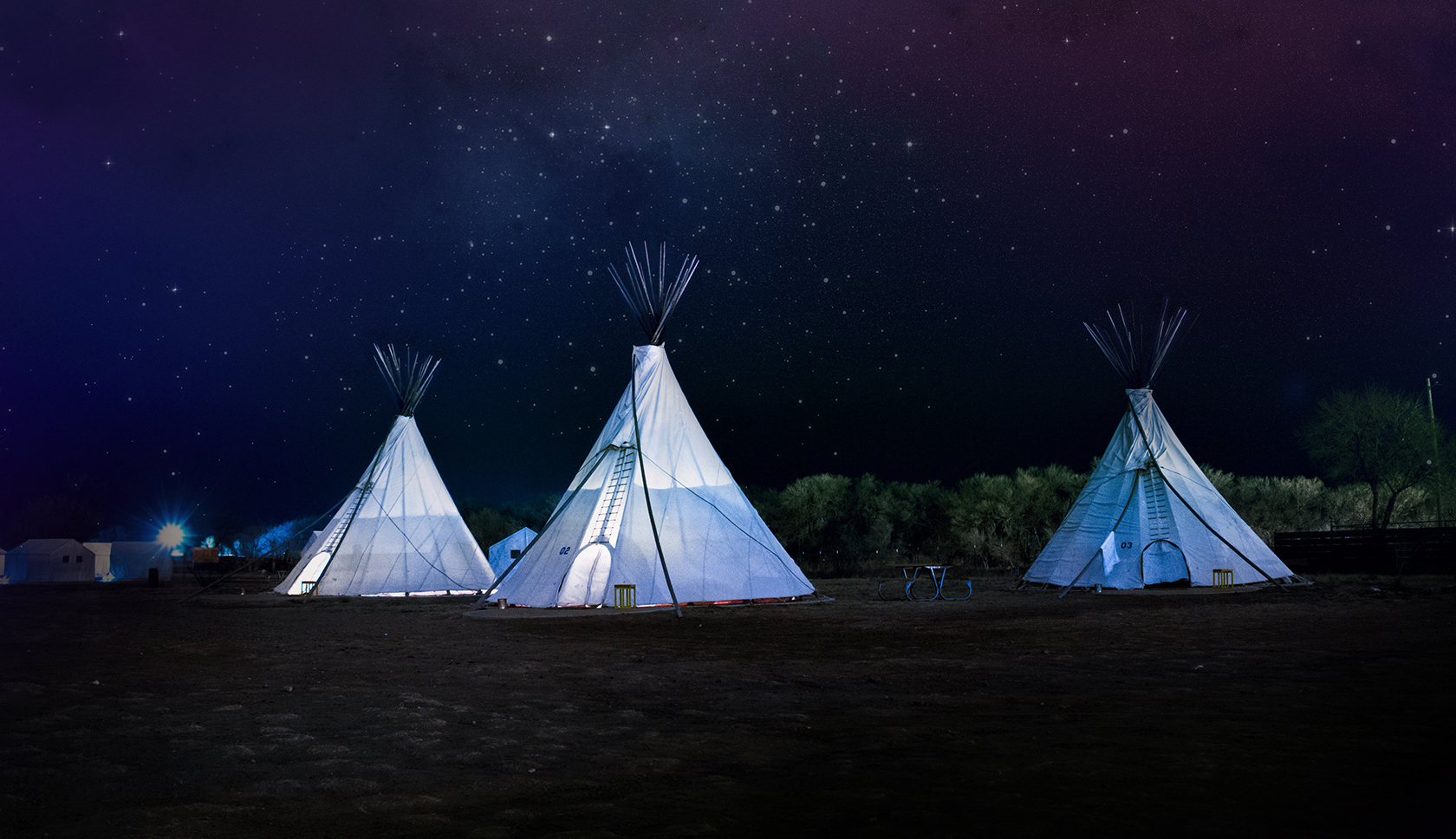 tippietenten in nederland