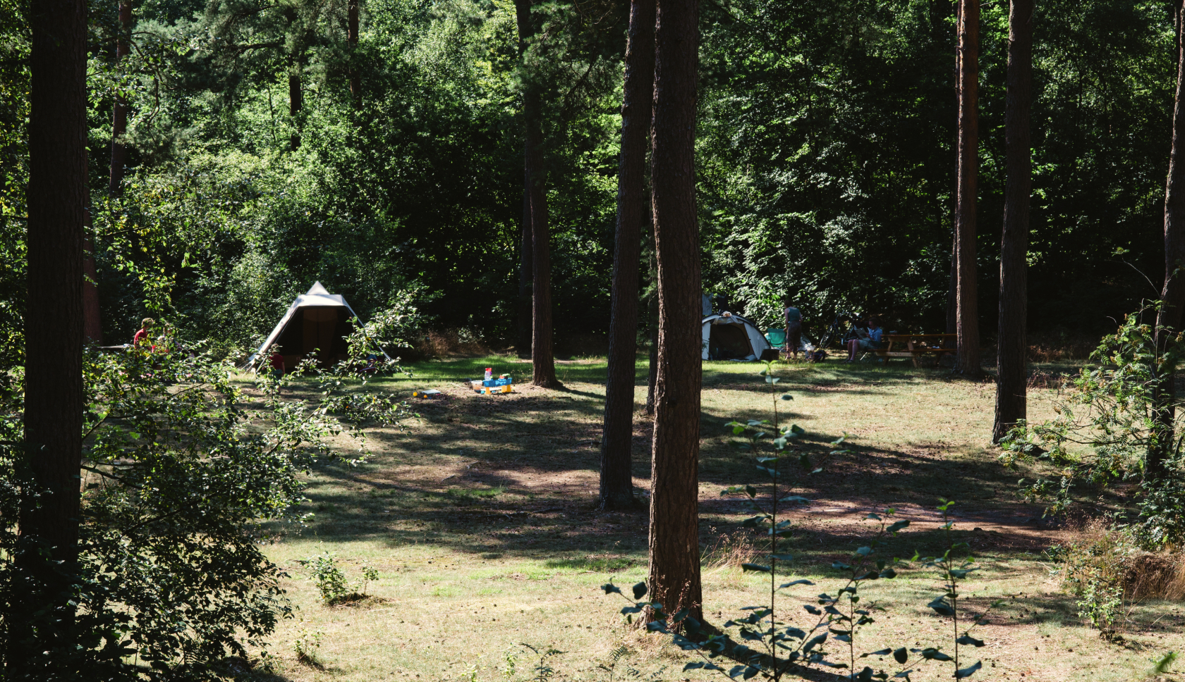 Twee vrouwen staan in een bos en kijken door een verrekijker