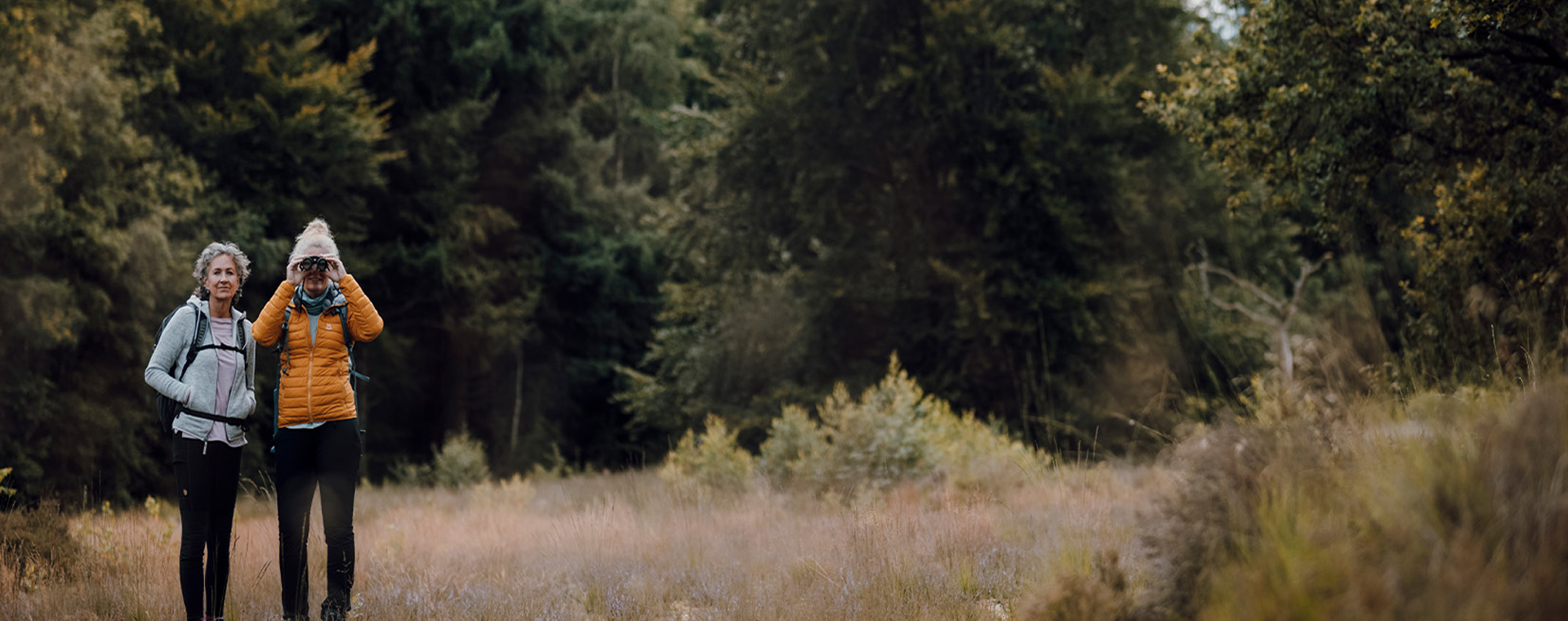 Bever vogelspotguide: tips voor beginnende vogelaars