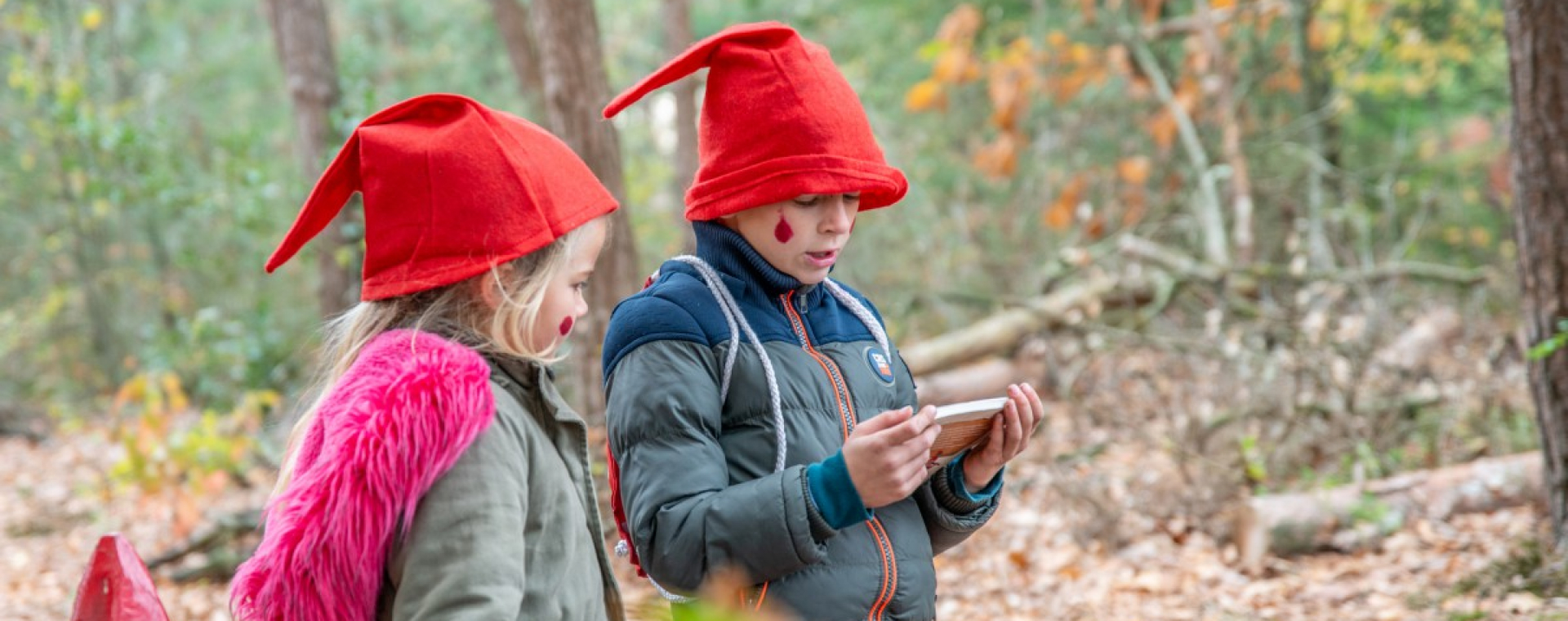 Kabouterpaden: de leukste wandelroutes met kinderen