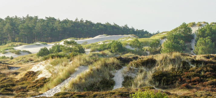 Wandelen in Noord-Holland met deze 6 routes