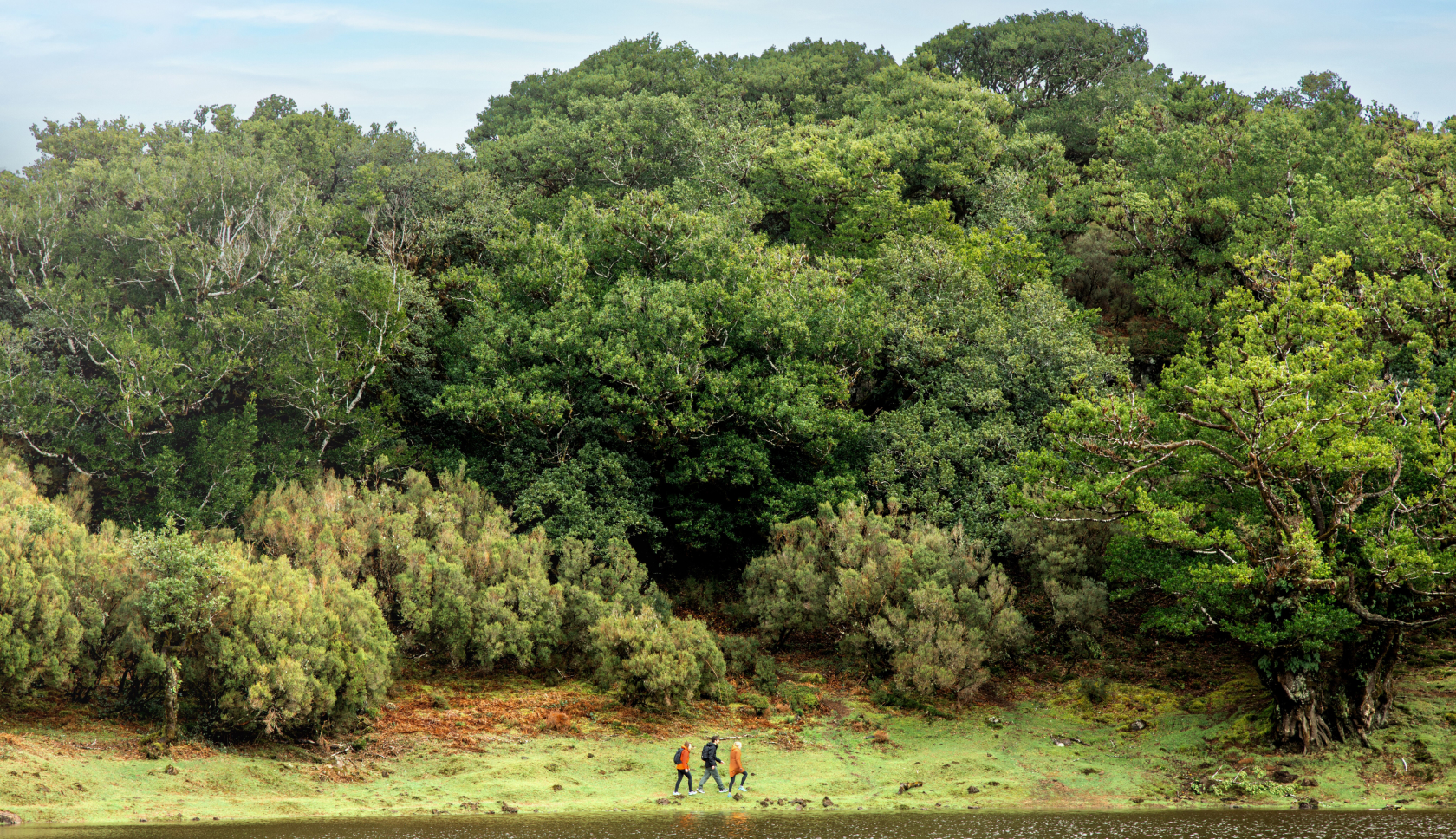 drie personen wandelen in de verte langs een meer en bosrand
