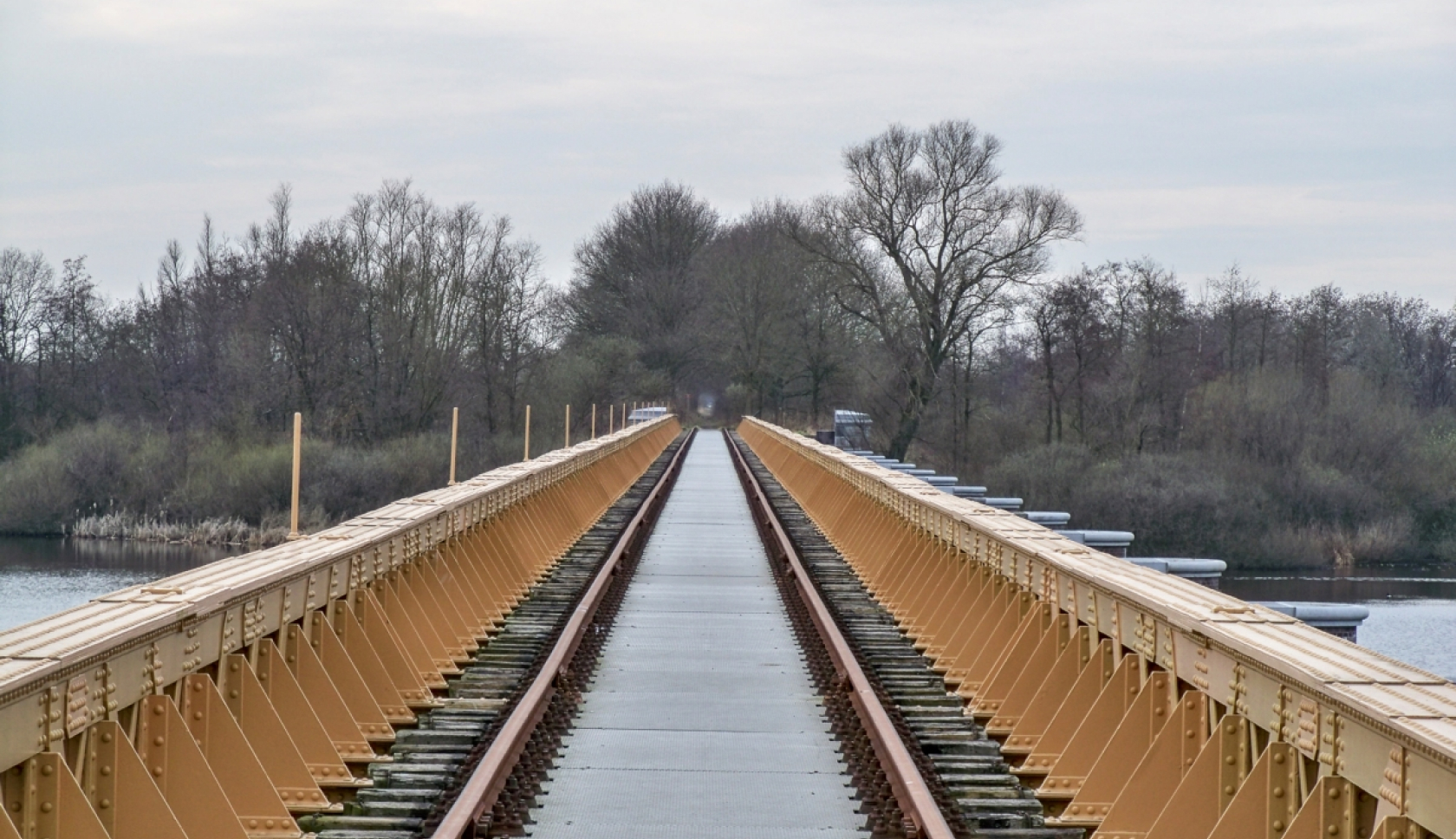 een jonge man loopt rustig door de bossen