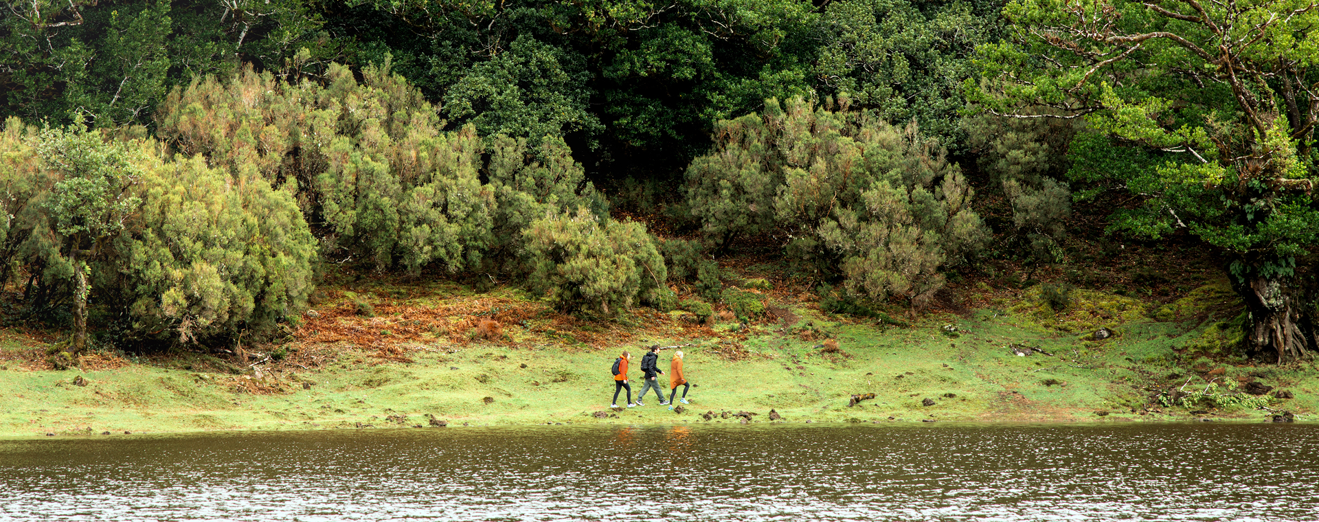 Klompenpaden: de 5 mooiste routes