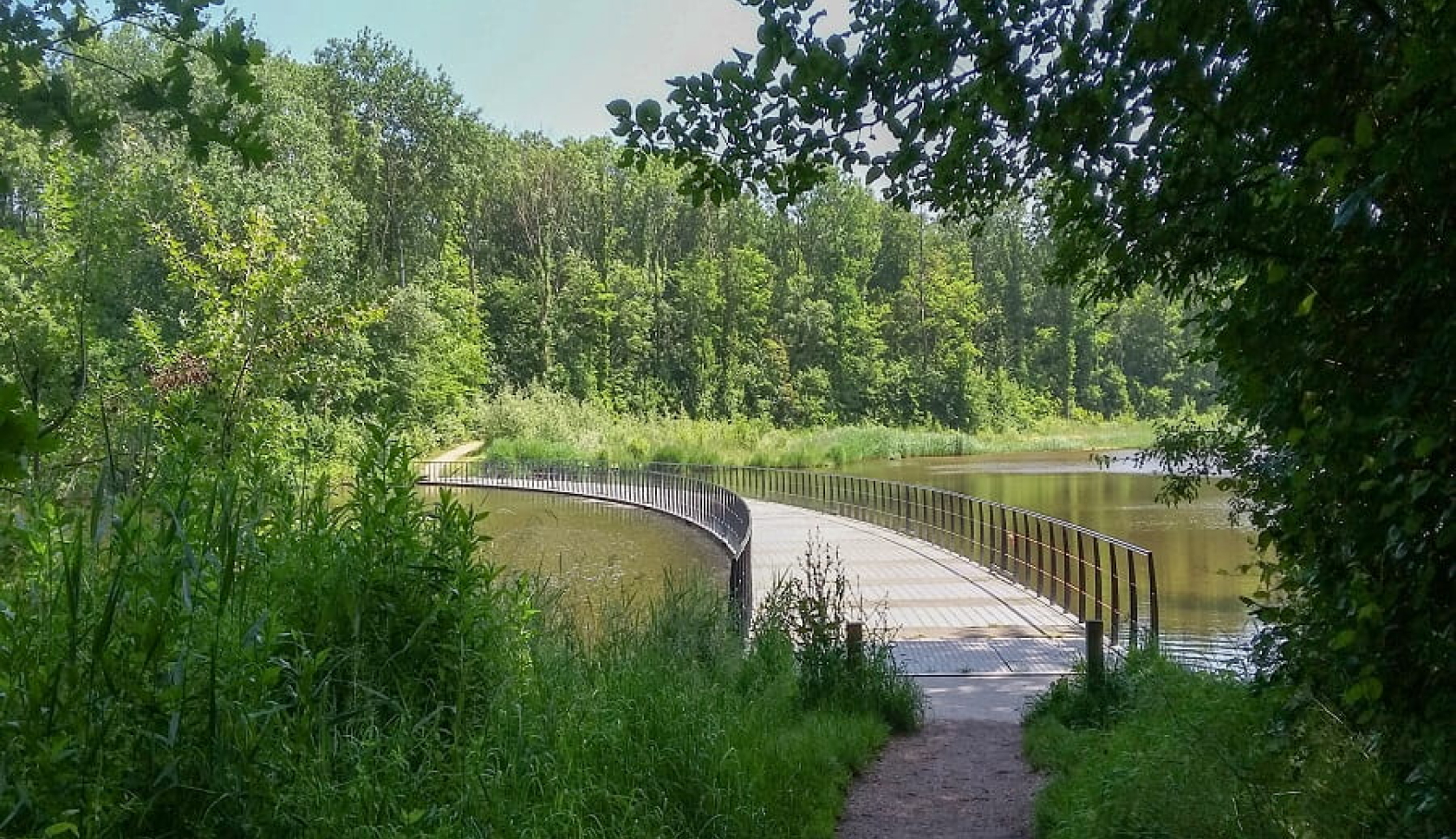 De iconische drijvende brug in het Veerse Bos bij Veere