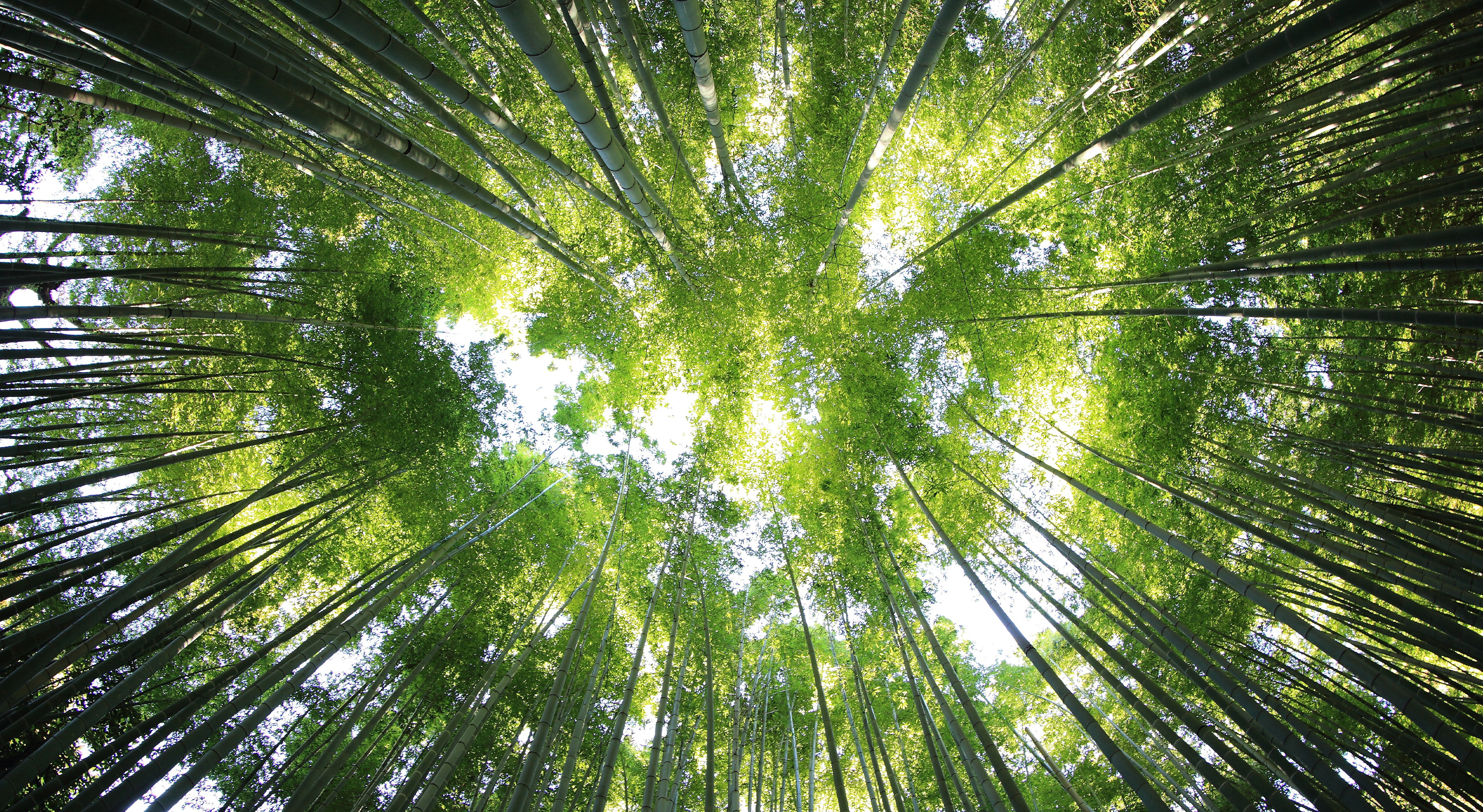 Liefde voor Buiten | Partners