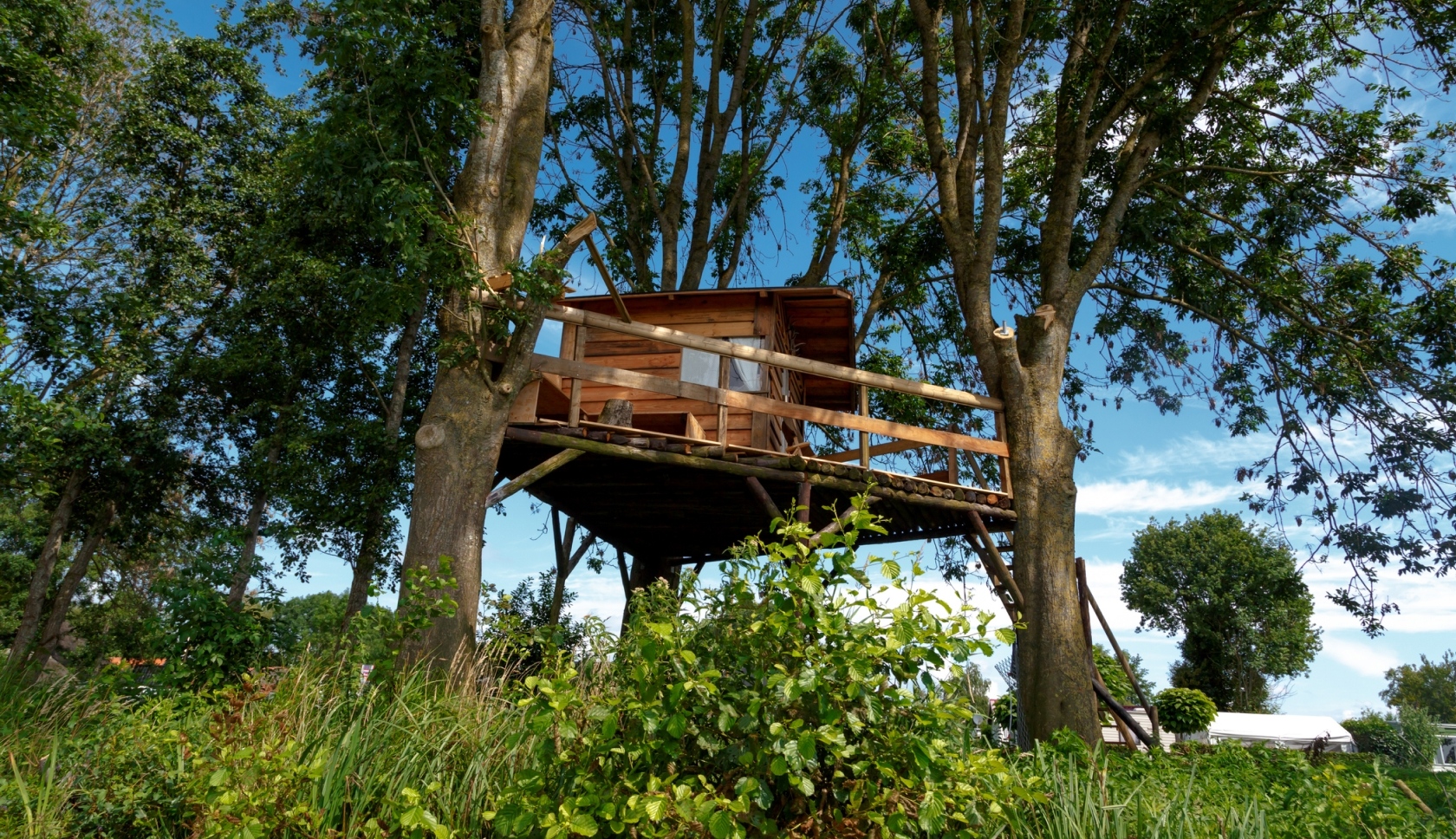 boomhut in de nederlandse natuur