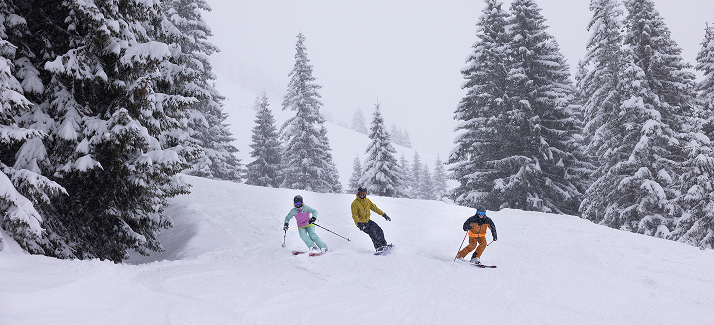 twee wandelschoenen in gras