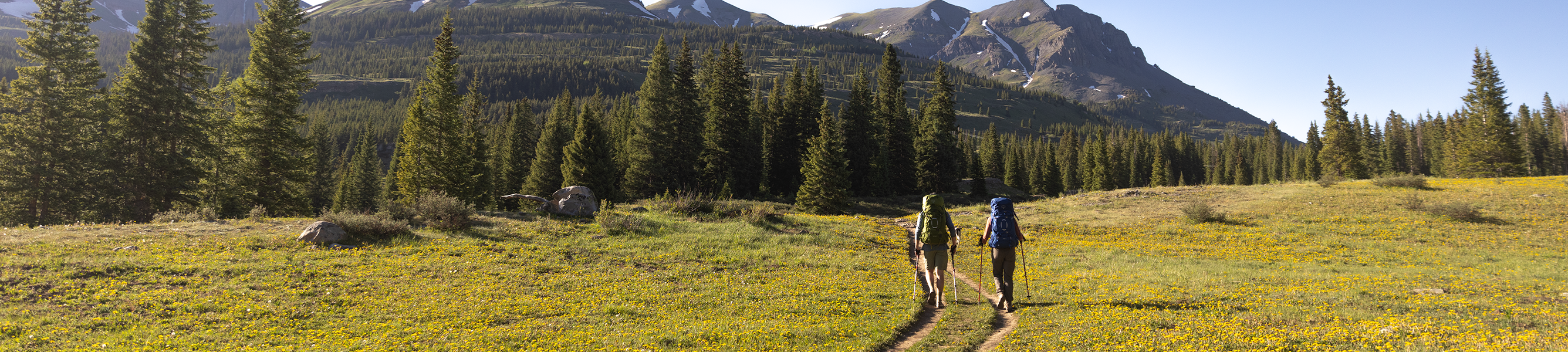 shop de talon of tempest van osprey