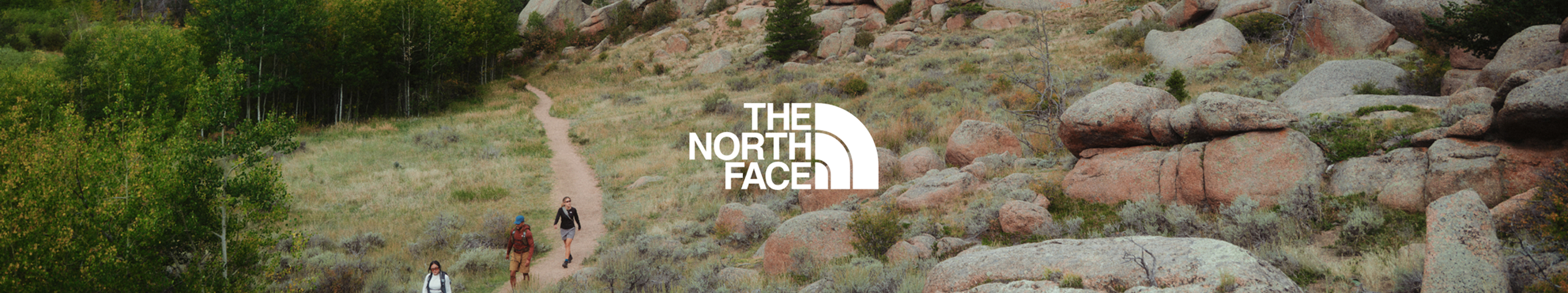 the north face header