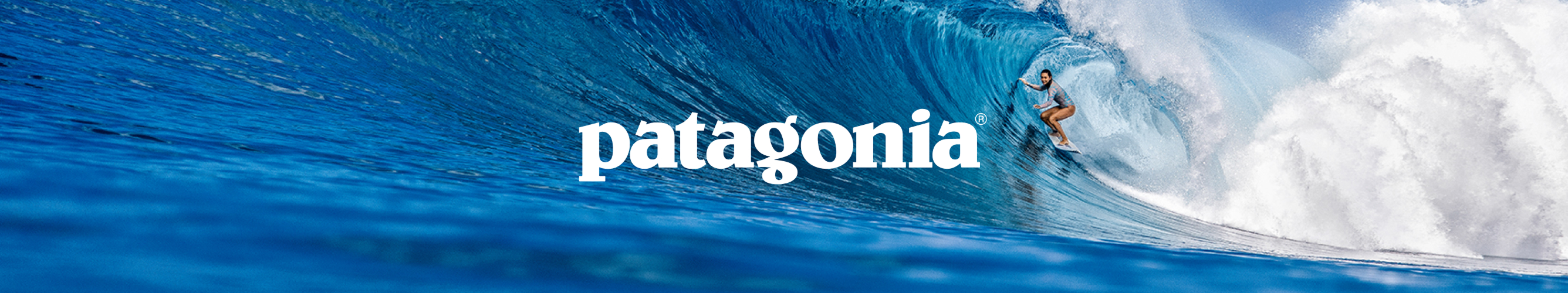 patagonia surfster barrel